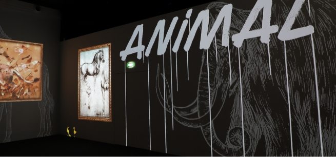 Animal, son et lumière 360°